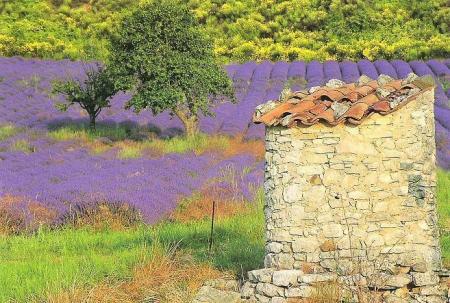 Les paysages